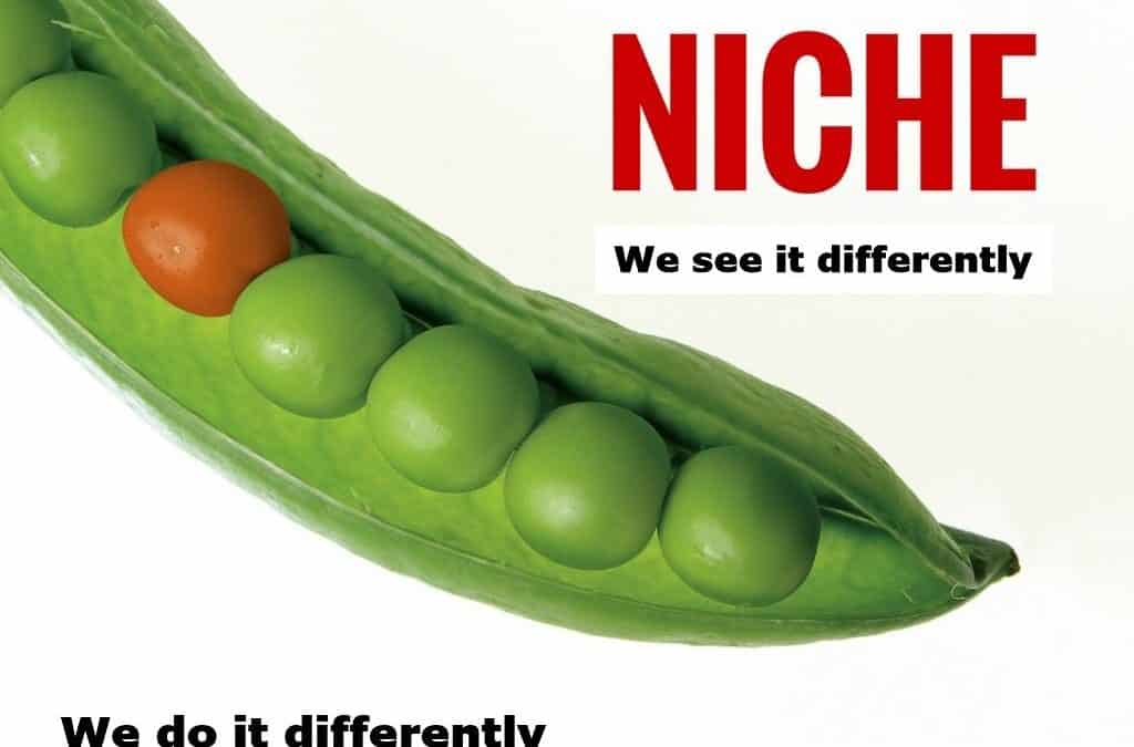 Sales: Where Is Your Niche?