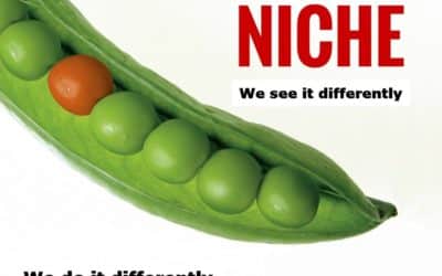 Sales: Where Is Your Niche?
